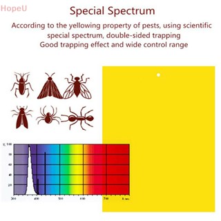[HopeU] กาวกระดาษดักจับแมลง แมลงวัน ผลไม้ แมลงวัน 10 ชิ้น