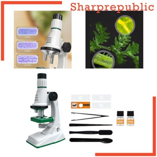 [Sharprepublic] ชุดของเล่นวิทยาศาสตร์ พร้อมไฟ สําหรับเด็กวัยหัดเดิน