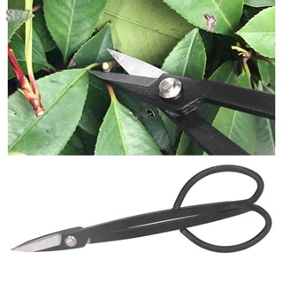 SN7 200MM Bonsai Scissors Steel Rust Resistance Plant กรรไกรตัดกิ่งไม้สำหรับจัดสวนดอกไม้