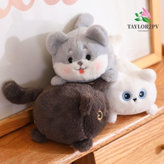 Taylor2pv ของเล่นตุ๊กตาสุนัข แมว แบบนิ่ม ขนาดเล็ก