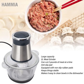  HAMMIA เครื่องบดสับอาหารไฟฟ้า 450W มัลติฟังก์ชั่นที่มีประสิทธิภาพ 2L เครื่องบดเนื้อสำหรับเนื้อผักผลไม้และถั่ว