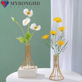 Myronghd แจกันแก้วเหล็ก หลอดทดลอง สําหรับตกแต่งบ้าน