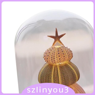 [Szlinyou3] โคมไฟกลางคืน สําหรับตกแต่งห้องนอน คาเฟ่ วันหยุด