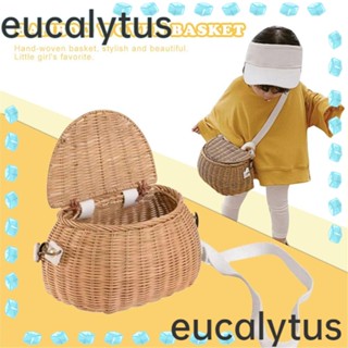 Eucalytus1 ตะกร้าหวายสาน พร้อมฝาปิด สําหรับรถจักรยานเด็ก