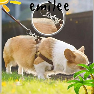 Emilee ตะขอก้ามปู แบบหมุนได้ สําหรับทําเครื่องประดับ กระเป๋าสตางค์ 10 ชิ้น