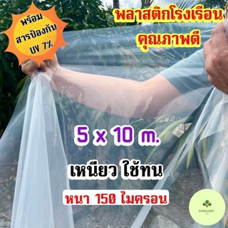 พลาสติกโรงเรือน 5.0 x 10 เมตร พลาสติกใส บอนสี ไม้ด่าง หน้ากว้าง 5.0 เมตร หนา 150 ไมครอน UV7%