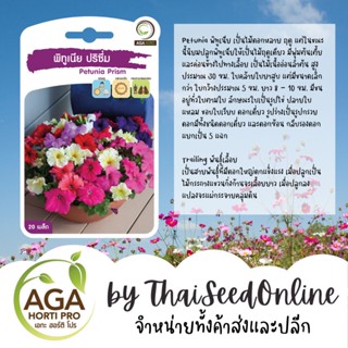 AGAPREMIUM พิทูเนีย 20เมล็ด ตราเอกะอะโกร Petunia