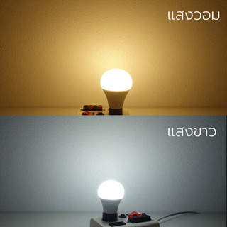 อุปกรณ์หลอดไฟ หลอดไฟ ฟิลิปส์ Philips Essential LED Bulb 9W เอสเซนเชียล รุ่นประหยัด แสง DAYLIGHT 6500K แสง WARM 3000K