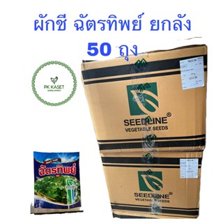 เมล็ดพันธ์ุผักชี ฉัตรทิพย์ ขนาด 300g SEEDLINE ขายยกลัง 50 ถุง ราคาส่ง