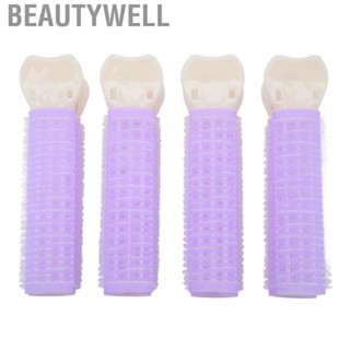 Beautywell Volumizing Hair Clips  4pcs Hair Root Fluffy  Purple  for Women for Daily Use