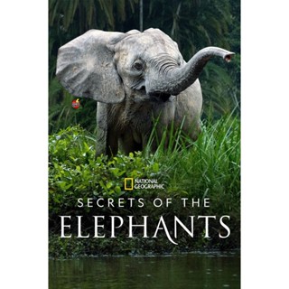 DVD ดีวีดี Secrets of the Elephants (2023) 4 ตอน (เสียง อังกฤษ | ซับ ไทย(ฝัง)) DVD ดีวีดี