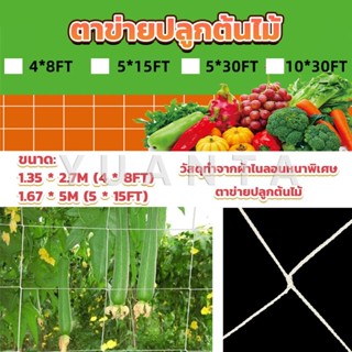 Yuanta ตาข่ายปลูกต้นไม้ ตาข่ายปลูกพืช ตาข่ายพืชสมุนไพร Plant net