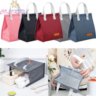 【COLORFUL】Insulated Thermal Lunch Bag Portable Bento Box Tote ideal for Adults and Kids