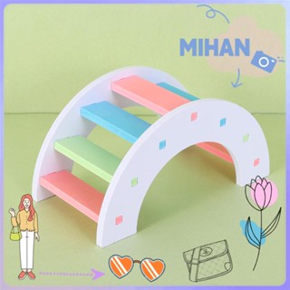 Mihan อุปกรณ์เสริมหนูแฮมสเตอร์สะพานไม้สีรุ้งของเล่นออกกําลังกายสําหรับสัตว์เลี้ยงหนูแฮมสเตอร์