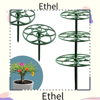 Ethel1 ขาตั้งต้นบอนไซ ทนทาน 2 ชิ้น