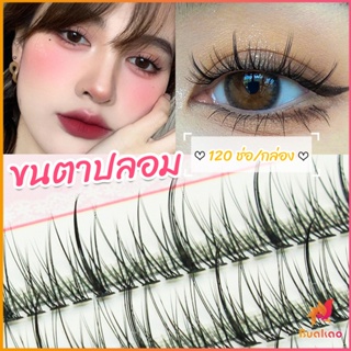 BUAKAO ขนตาปลอม ขนตาปลอมแต่งหน้ามืออาชีพ 120 ช่อ ช่อคนตาเทรนสาวเวียดนาม  Little devil false eyelashes