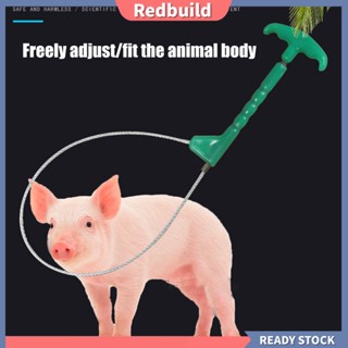 Redbuild|  อุปกรณ์จับหมู แบบสเตนเลสสตีล ทนทาน สําหรับปศุสัตว์