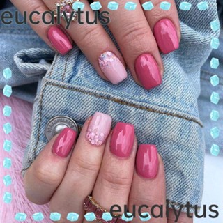 Eucalytus1 เล็บปลอม แบบกด DIY สไตล์ฝรั่งเศส 24 ชิ้น