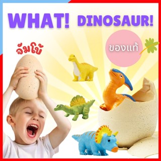 DI004 ของแท้ ฟักไข่ DINOSAUR EGG ฟักไข่ ไข่เซอร์ไพรส์ ของเล่น ไข่เซอร์ไพร์ส