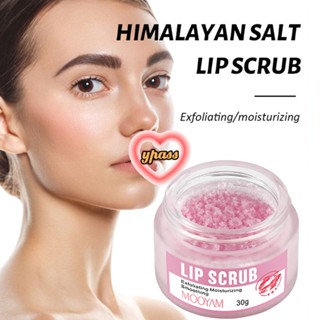 CYREAL CYREAL Mooyam Himalayan Salt Lip Scrub Fades Lip Lines Lip Scrub Care ครีมนวด Moisturizing Lip Balm