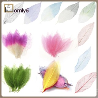 [Homyl5] ดอกแมกโนเลีย สีขาว สําหรับทํางานฝีมือ ตกแต่งผนังบ้าน DIY 50 ชุด