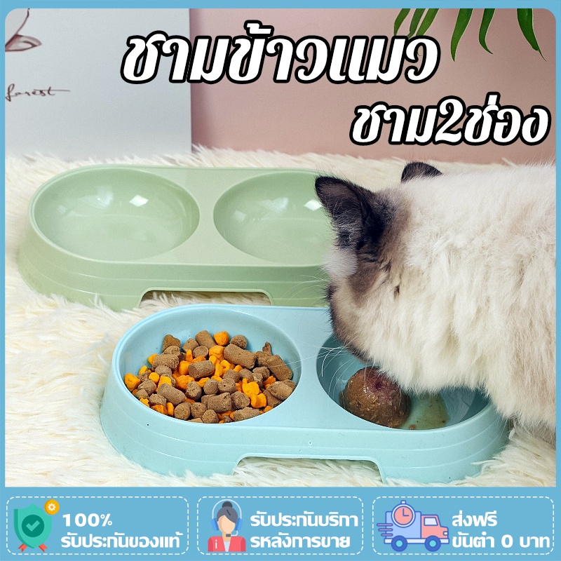 Pet candy color bowl ชามคู่สีลูกกวาด ชามอาหารสัตว์เลี้ยง