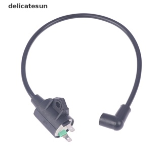 Delicatesun คอยล์จุดระเบิด สําหรับเครื่องยนต์มอเตอร์เครื่องกําเนิดแก๊ส ET950 ET650