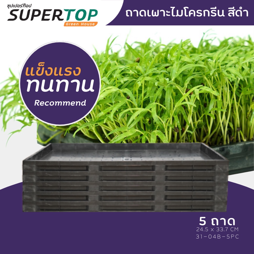 SET 10 ถาดเพาะต้นอ่อนไมโครกรีน แข็งแรงทนทาน สำหรับฟาร์มย่อมๆ | SUPERTOP