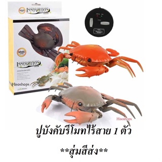 Leadingstar โมเดลปูจําลอง พร้อมรีโมตคอนโทรล ของเล่นเสริมการเรียนรู้ สําหรับเด็ก