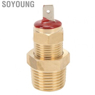 Soyoung Fan Thermostat Temperature Switch Engine Cooling Temperature  Switch Metal Low Power Consumption 3/8‑18 NPT for 265 283