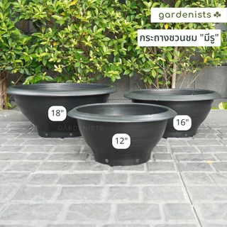 กระถางชวนชม อ่างบัว 12-18 นิ้ว ขายปลีก