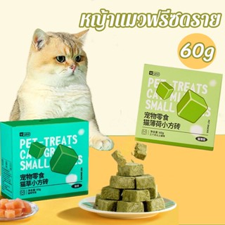 😻หญ้าแมวฟรีซดราย ขนมแมว ขนมสัตว์เลี้ยง ขนมสัตว์เลี้ยง กัญชาแมว