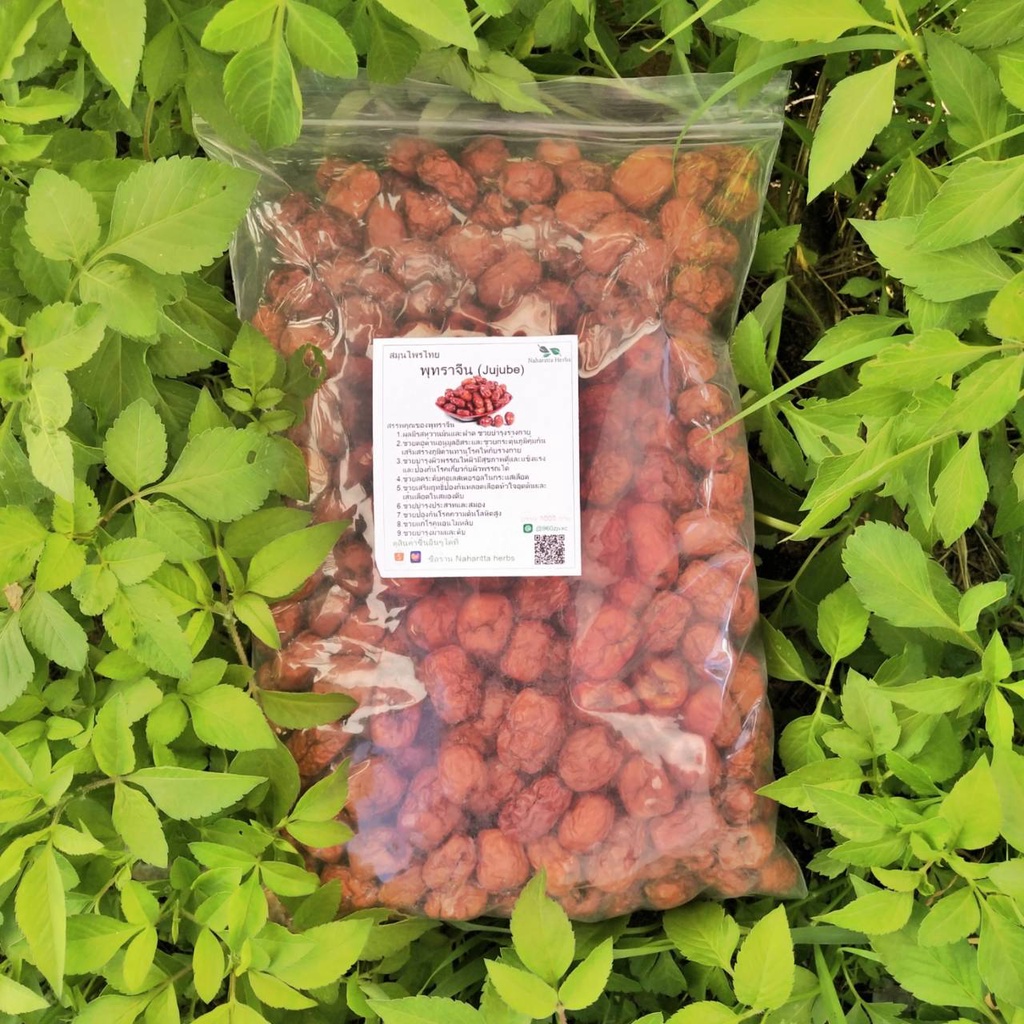 พุทราจีน (Jujube) ออร์แกนิค อบแห้ง ขนาด 500กรัม ชาสมุนไพร คัดเกรดคุณภาพดี ปลอดสาร สินค้าคุณภาพพร้อมส่ง