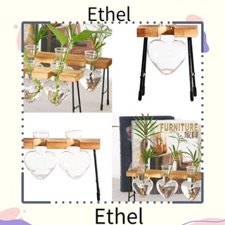 Ethel1 แจกันต้นไม้ไฮโดรโปนิก กรอบไม้ สําหรับตกแต่งบ้าน สํานักงาน