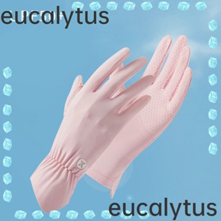 Eucalytus1 ถุงมือผู้หญิง ระบายอากาศ หน้าจอสัมผัส ฤดูร้อน ถุงมือ