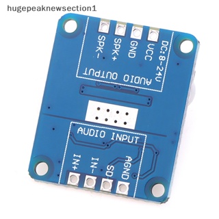 Hugepeaknewsection1 โมดูลบอร์ดขยายเสียงดิจิทัล พลังงานสูง Class D 10W 20W 30W DC Mono 12V 24V PWM DY-AP3001 Nice