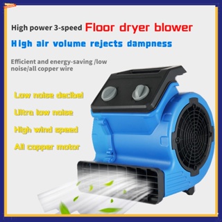 Blower Lantai เครื่องเป่าลมชักโครก 300W 1000W ระบายอากาศ และลดความชื้น สําหรับห้องน้ํา