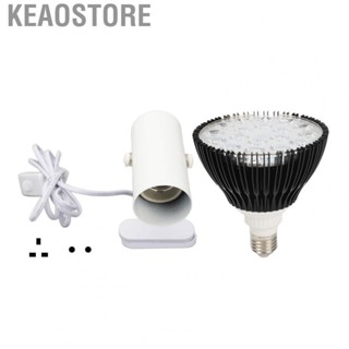 Keaostore Ultraviolet Floodlight  Big  Portable Light Black Lamp Tanning for Man Bedroom