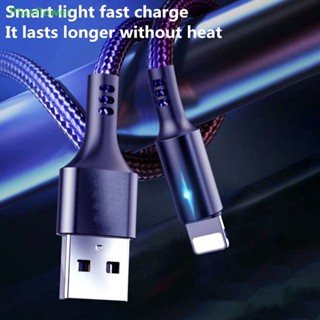 (Plusflower) สายชาร์จ USB 25 ซม. สําหรับ IOS USB Lighg