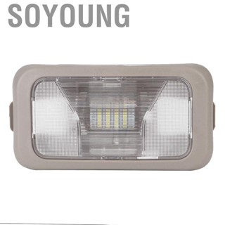 Soyoung Car Interior Dome Lamp Auto Roof Ceiling Light Bulb Lens Housing 15126553