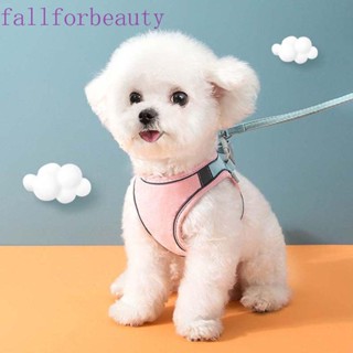 FALLFORBEAUTY สายจูงสุนัข แมว เดินเล่น กลางแจ้ง สายโซ่สะท้อนแสง สําหรับสุนัข แมว เชือกจูง สร้อยคอสุนัข