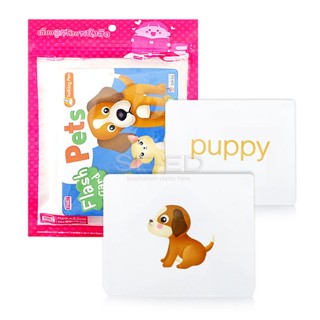 (Arnplern) : Flash Cards : Pets