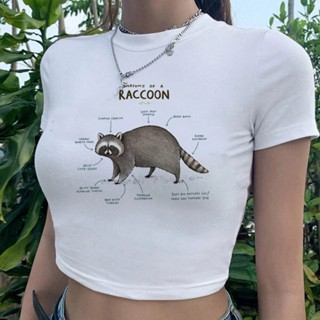 Racoon เสื้อยืดครอปท็อป 90s 2000s สไตล์วินเทจ สําหรับผู้หญิง y2k