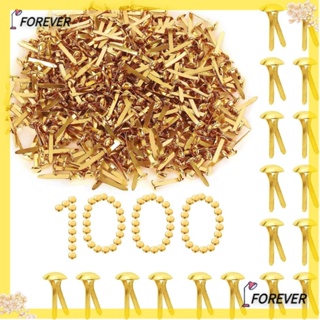 FOREVER ตัวยึดกระดาษ ทองเหลือง โลหะ สีทอง 15 มม. 1000 ชิ้น สําหรับ DIY