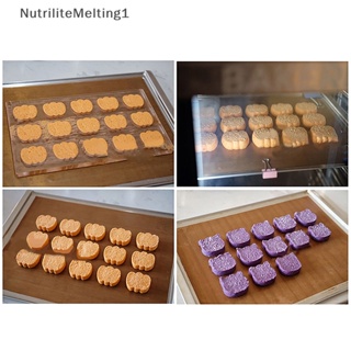 [NutriliteMelting1] แม่พิมพ์อะคริลิคใส รูปฟักทอง แมว ผี สไตล์ฝรั่งเศส สําหรับทําคุ้กกี้ ขนมหวาน เค้ก เบเกอรี่ [TH]