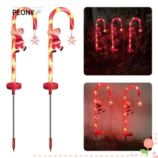 Peonypavilion โคมไฟ Led กันน้ํา สําหรับตกแต่งคริสต์มาส 2 ชิ้น