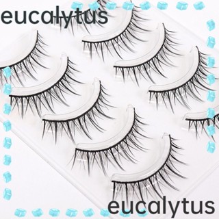 Eucalytus1 ขนตาปลอม สะดวกสบาย สําหรับแต่งหน้า