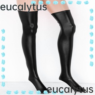 Eucalytus1 ถุงน่องหนังเทียม สแปนเด็กซ์ ยาว ถุงเท้า หนัง PU