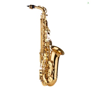 Phonelaptop AS200 Eb Alto Saxophone เครื่องดนตรีอัลโตแซกโซโฟน เคลือบทองเหลือง พร้อมกระเป๋าพกพา ถุงมือ สายรัด ผ้าทําความสะอาด แปรง