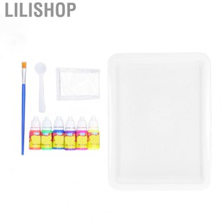 Lilishop Marble Art Kit  Marble Painting Kit Safe Nontoxic  for Stones for DIY Painting for Kids